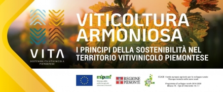  - vignaiolibattegazzore.it